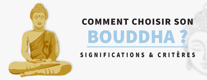 Comment choisir son Bouddha ?