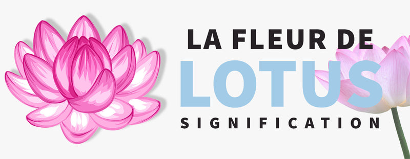 Signification Fleur de Lotus