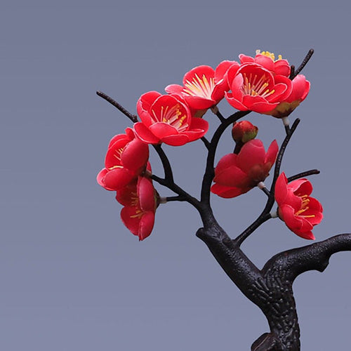 fontaine-avec-fleur-abricotier-du-japon